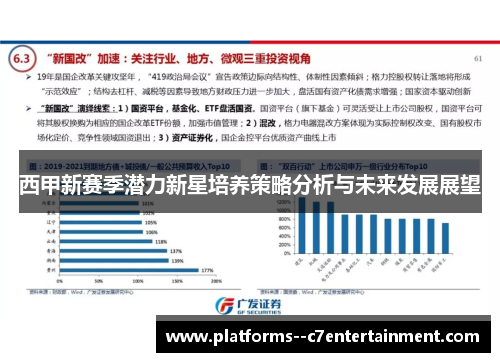 西甲新赛季潜力新星培养策略分析与未来发展展望