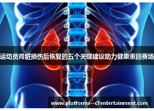 运动员肾脏损伤后恢复的五个关键建议助力健康重回赛场