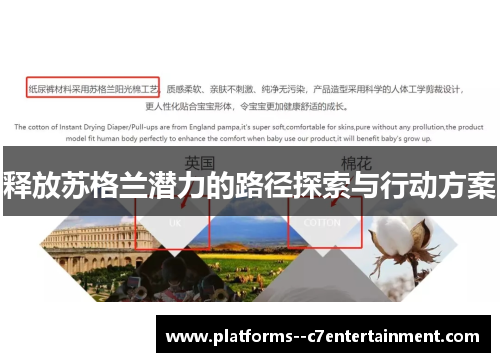 释放苏格兰潜力的路径探索与行动方案